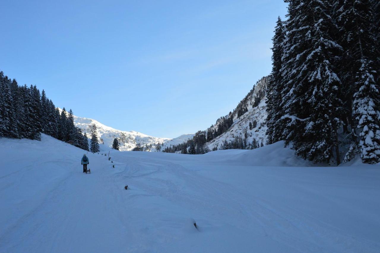 Lehenhof Farm stay Alpbach
