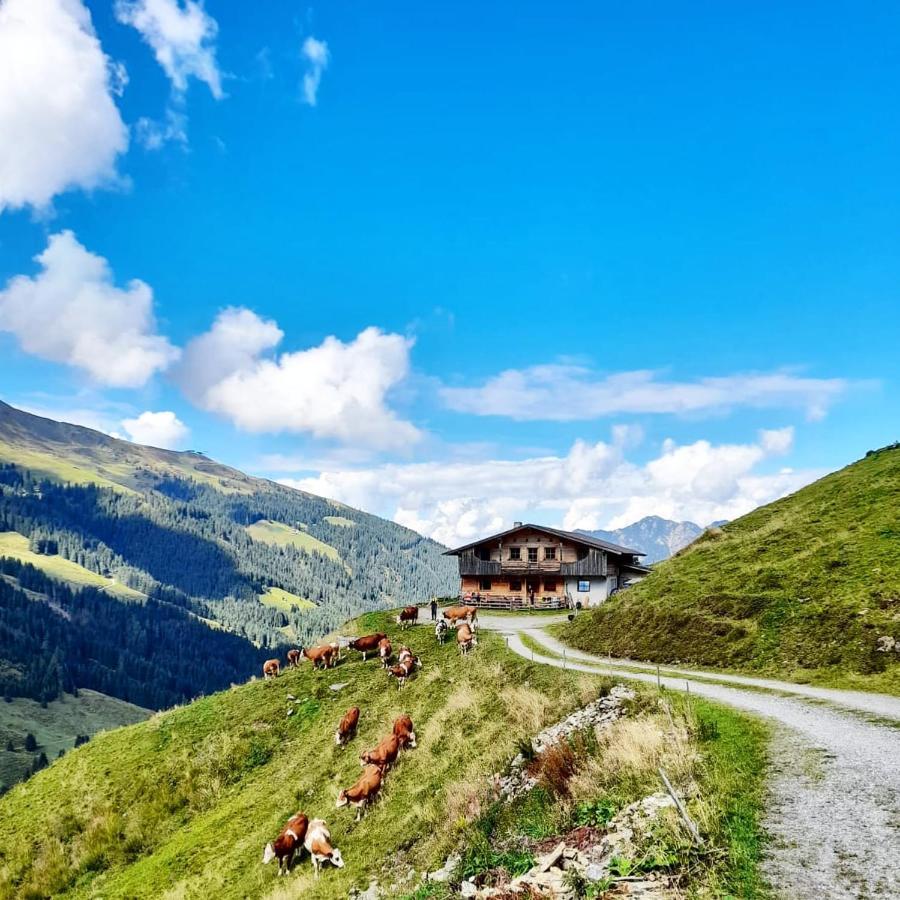 Lehenhof *