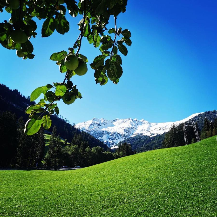 Lehenhof * Alpbach